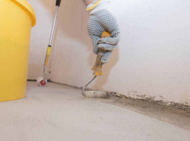 Best Pest Control for Hotels  in Frankford, DE